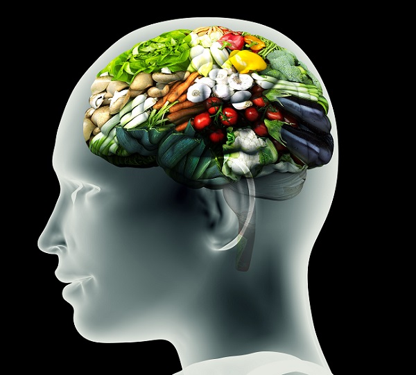 Brain Development Foods